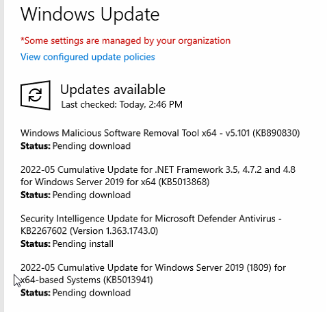 Windows Server Update