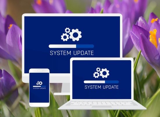 Patch Tuesday March 2023